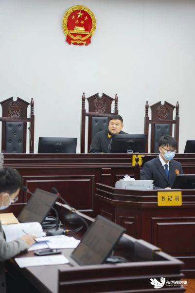 走马岭法庭法官张敏在审判现场释法明理。